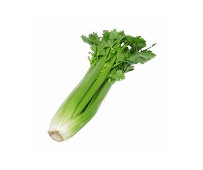 Picture of Celery Each