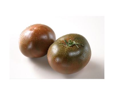 Picture of Tomato - Black Russian Each
