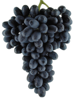 Picture of Grapes - Midnight Beauty Seedless Per 1KG