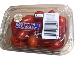 Picture of Tomato PP - Blueys