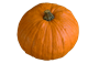 Picture of Pumpkin - Halloween Each