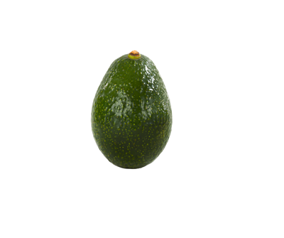 Picture of Avocado - Gwen
