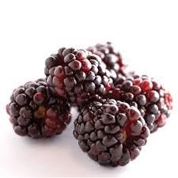 Picture of Boysenberry Punnet
