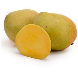 Picture of Mango - KP Each