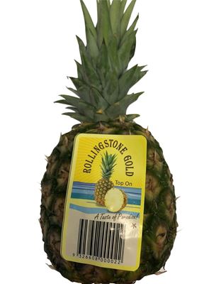 Picture of Pineapple - Gold XL