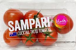 Picture of Tomato PP - Sampari