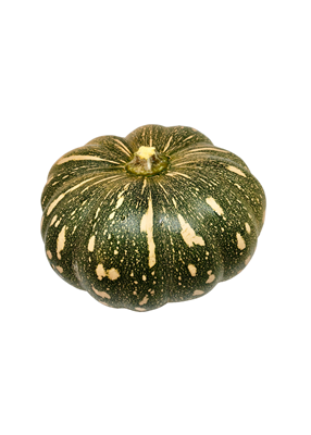 Picture of Pumpkin - Jap Small Whole