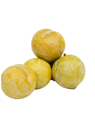 Picture of Plum - King Midas