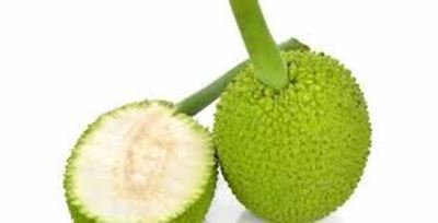 Picture of Breadfruit 