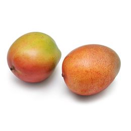 Picture of Mango - Keitt Premium Each