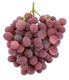 Picture of Grape - Red Globe 1KG