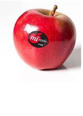 Picture of Apple - Mi Large