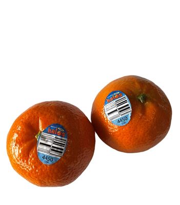 Picture of Mandarin - Halos Each