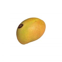 Picture of Mango - KP Premium Each