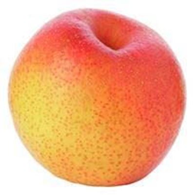 Picture of Pear - Papple