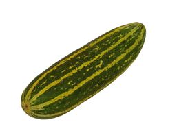 Picture of Melons - Honey