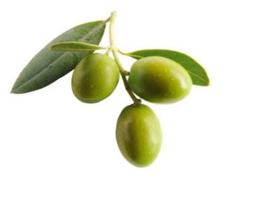 Picture of Olive - Kalamata Green Fresh Per 200G