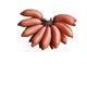 Picture of Bananas - Red Decca Each