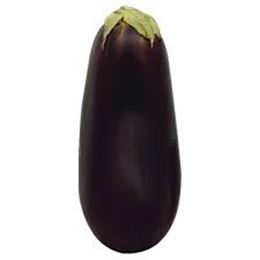 Picture of Eggplant - Field