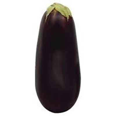 Picture of Eggplant - Field