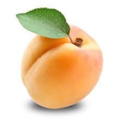 Picture of Apricot - Honey Cots Each