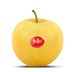 Picture of Apple - Gippy Gold