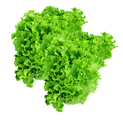 Picture of Chinese Lettuce 200g