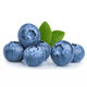 Picture of Blueberries