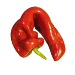 Picture of Sweet Red Balkan Chilli 500G