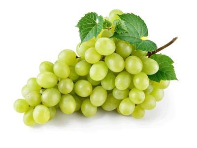 Picture of Grape - Thompson Seedless Per 1KG
